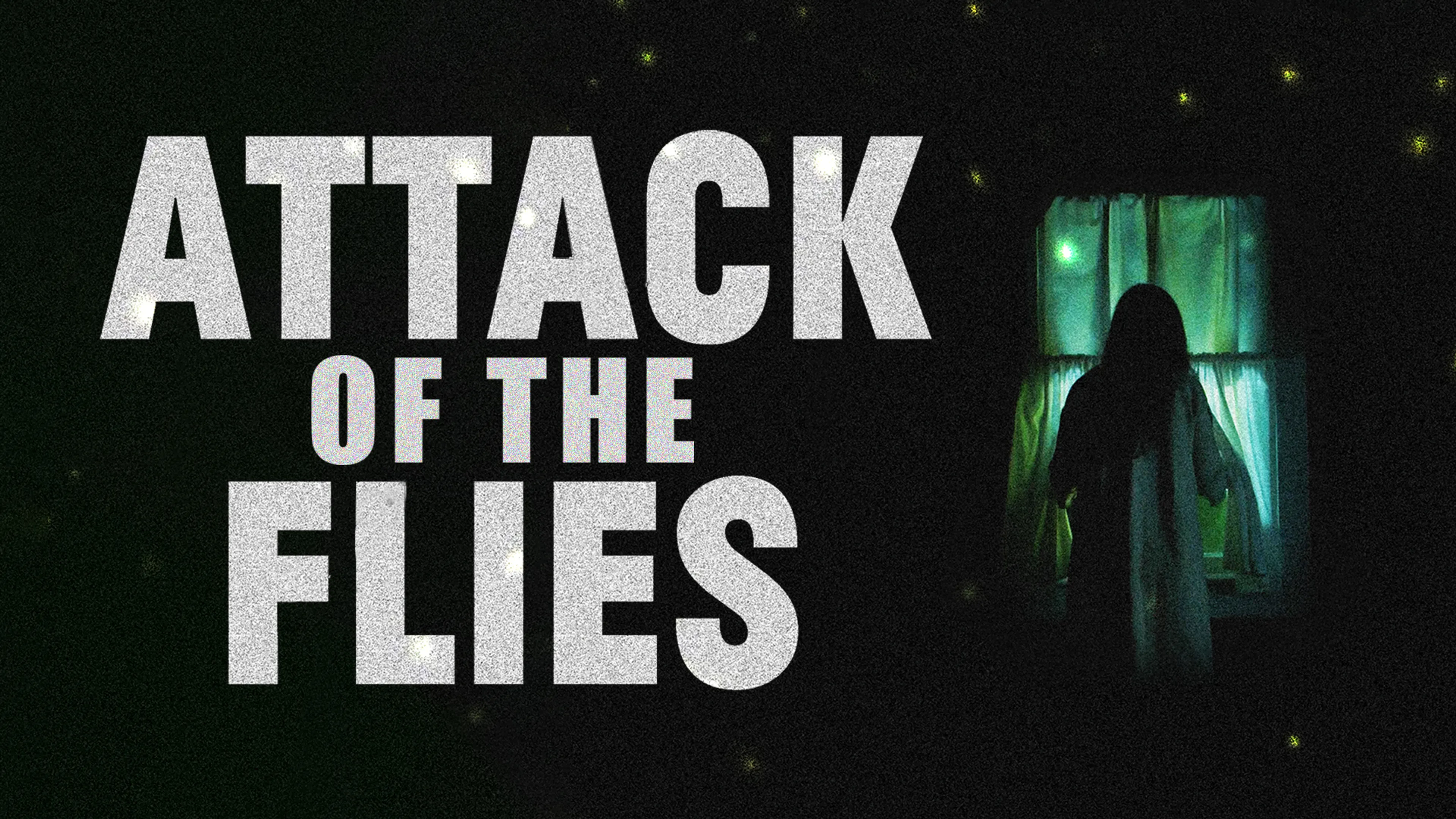 Attack of the Flies poster